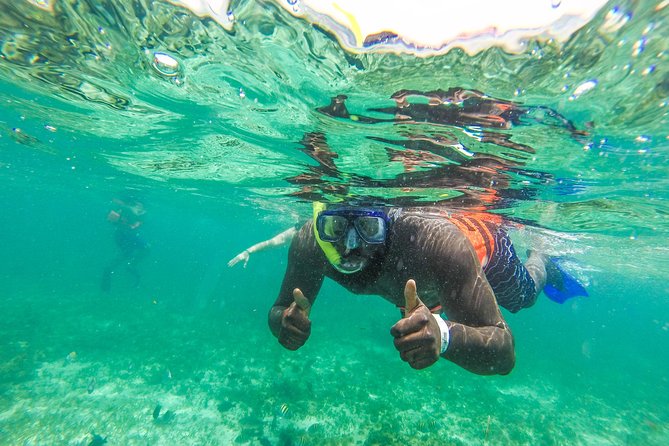 Catamaran Group Sightseeing, Snorkeling Tour Isla Mujeres - Stop 1: El Meco Reef Area and the Submarine Museum Sculptures