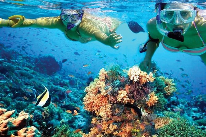 Catamaran Sailing to Isla Mujeres with Snorkeling, Lunch & Open Bar included - Beach club time and buffet lunch on Isla Mujeres