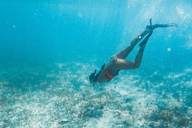 Catamaran Tour to Isla Mujeres Cancun - Beach Club Time at North Beach: Lunch Buffet and Swimming