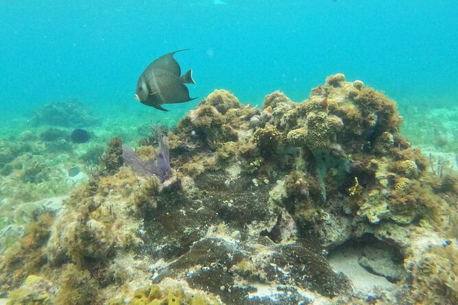 Catamaran with Snorkeling and North Beach, Isla Mujeres - Group size, language, and the “smooth-day” factor