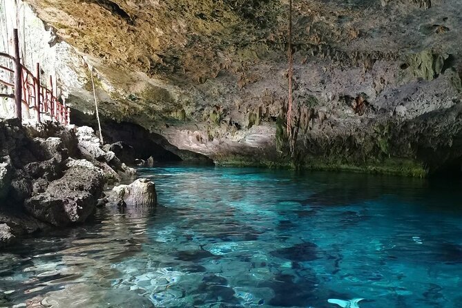 Cenote Cancun Experience with Transportation Included & Lunch - Who this tour fits best (and who should think twice)