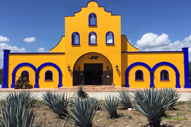 Cenote La Noria Tour + Jewelry Shopping Tour + Tequilera - Who This Tour Suits Best (and Who Should Think Twice)
