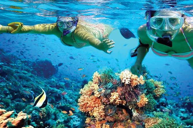 Chichen Itza Early Access & Catamaran to Isla Mujeres - Catamaran to Isla Mujeres: open bar, reef views, and a guided snorkeling stop