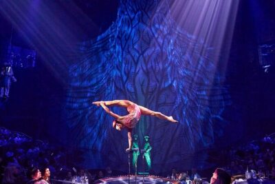 Cirque du Soleil JOYÀ Admission Tickets - Show-only vs. seating upgrades: how to pick the right vibe