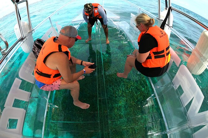 Clearboat: Glass-bottom boat ride to the Caribean Sea - El Meco Reef: Why This Stop Is More Than a Name on a Schedule