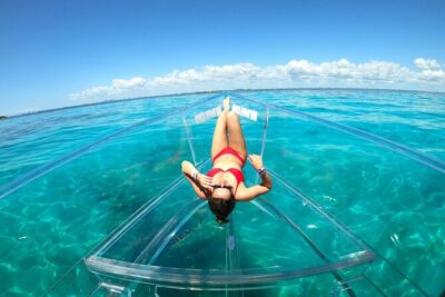 Clearboat: Glass-bottom boat ride to the Caribean Sea - What You’ll See Under the Glass: Turtles, Fish, Coral, and More