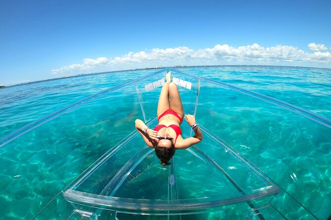 Clearboat: Glass-bottom boat ride to the Caribean Sea - What You’ll See Under the Glass: Turtles, Fish, Coral, and More
