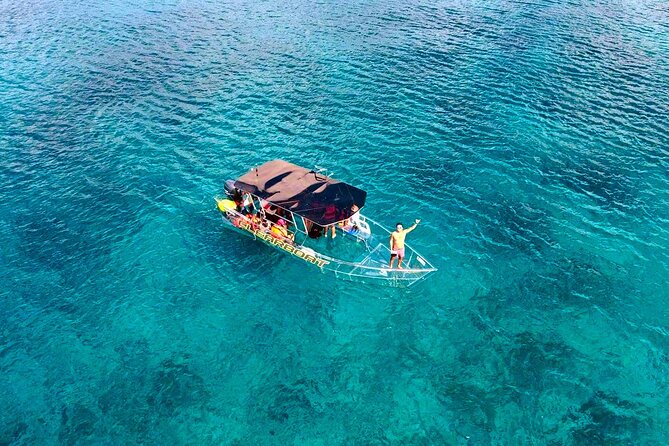 Clearboat in Cancun + Refreshments !! - What You’ll Actually See: Turtles, Manta Rays, Starfish, and Friends