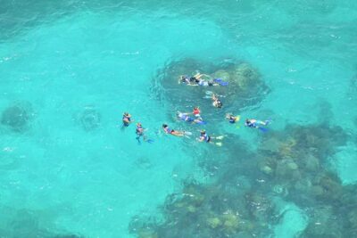 Contoy Caribbean Adventure! Round Transportation from Cancun - The 7:00 am start: transfers that matter more than you think