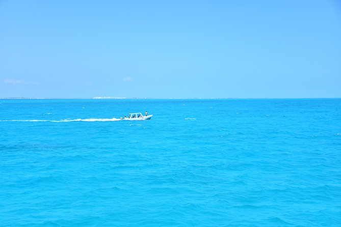 Contoy Caribbean Adventure! Round Transportation from Cancun - Isla Contoy: protected nature, guided time, and reef snorkeling