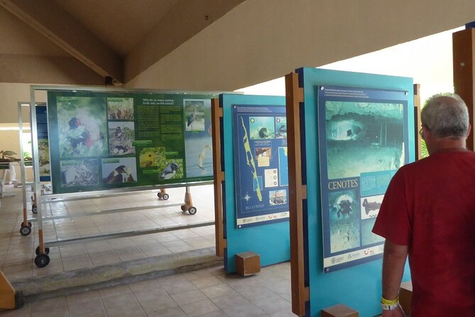 Contoy Island Tour from Cancun and Isla Mujeres with Snorkeling - The Snorkeling Stop: Weather Controls the Plan