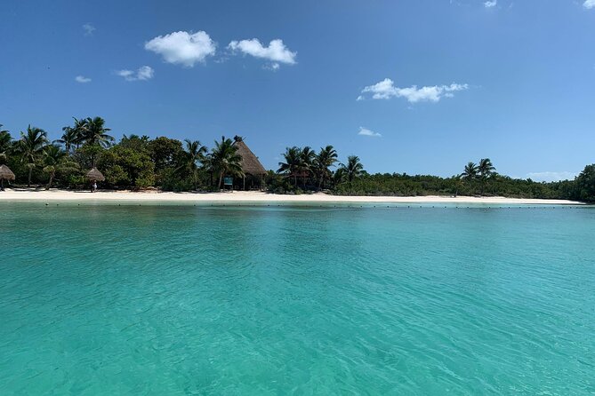Contoy Island Tour from Cancun and Isla Mujeres with Snorkeling - Price and Value: What You Pay for, and What’s Extra