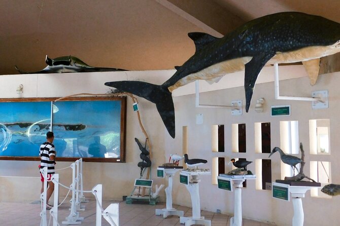 Contoy Island Tour from Cancun and Isla Mujeres with Snorkeling - The People and the Pace: What the Small Group Means for You