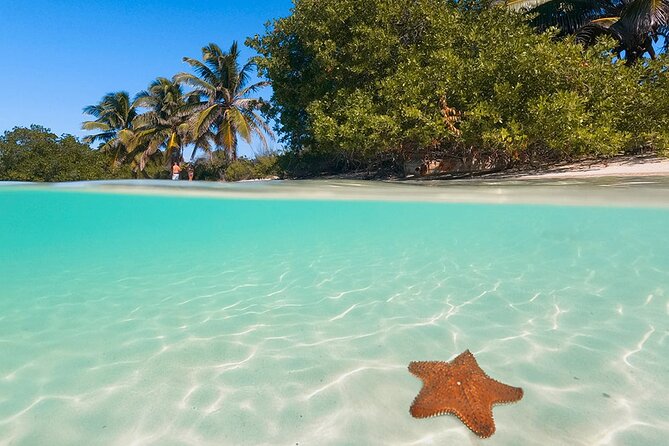 Contoy Island Tour from Cancun and Isla Mujeres with Snorkeling - Contoy Island Time: Beach Calm and a Guided Walk
