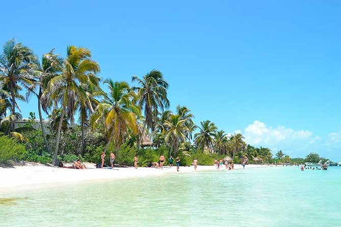 Contoy Island Tour from Playa del Carmen & Cancun - The Big Picture: A 10-Hour Plan That Doesn’t Waste Your Day