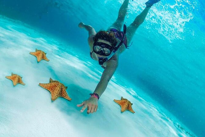 Cozumel by transparent boat and snorkeling in the sky with lunch. - From Cancun to Cozumel: The Ferry Rhythm That Sets the Tone