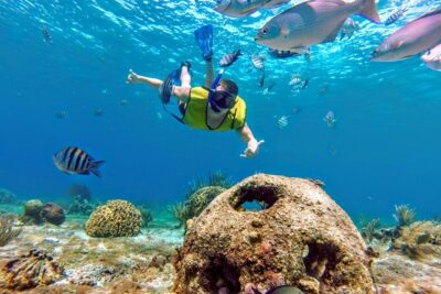Cozumel by transparent boat and snorkeling in the sky with lunch. - Transparent Boat Reef Time: Seeing Corals Before You Snorkel