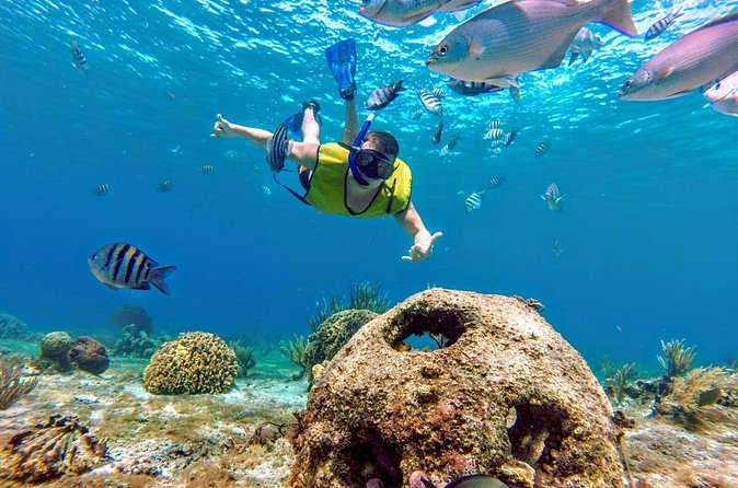 Cozumel by transparent boat and snorkeling in the sky with lunch. - Cielo by 4HS Sky Tour: The Long Reef Segment with Real Variety