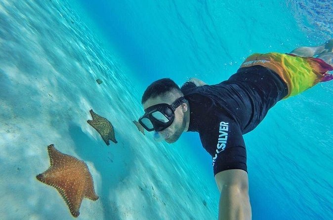 Cozumel by transparent boat and snorkeling in the sky with lunch. - Drinks, Ceviche, and the Little Extras That Actually Matter