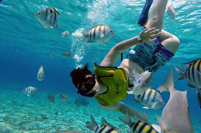 Cozumel by transparent boat and snorkeling in the sky with lunch. - Getting Back to Cancun: Plan for the Full-Day Fatigue