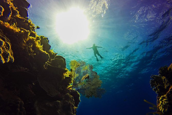 Cozumel Catamaran Snorkeling Tour & Lunch (Hotel Pick Up) - Price and value: is $163 a smart deal?