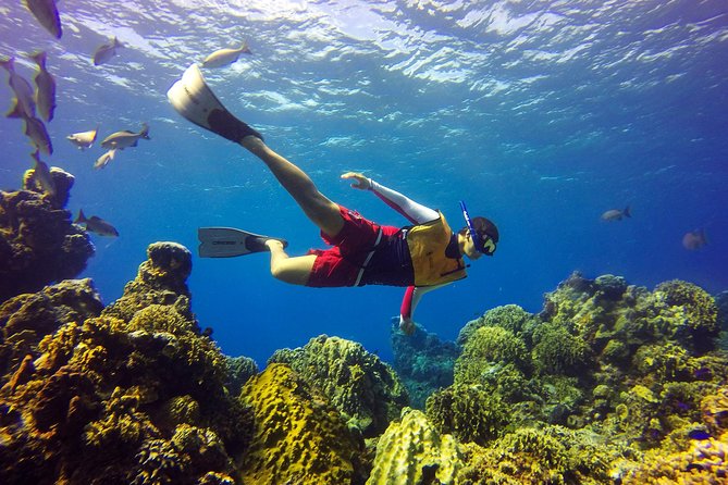 Cozumel Catamaran Snorkeling Tour & Lunch (Hotel Pick Up) - Who this tour fits best (and who should skip it)