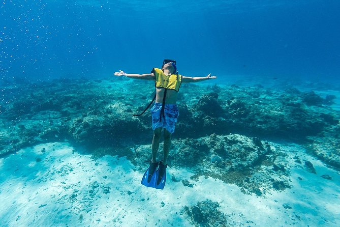 Cozumel Catamaran Snorkeling Tour & Lunch (Hotel Pick Up) - Timing reality check: why the day can feel rushed