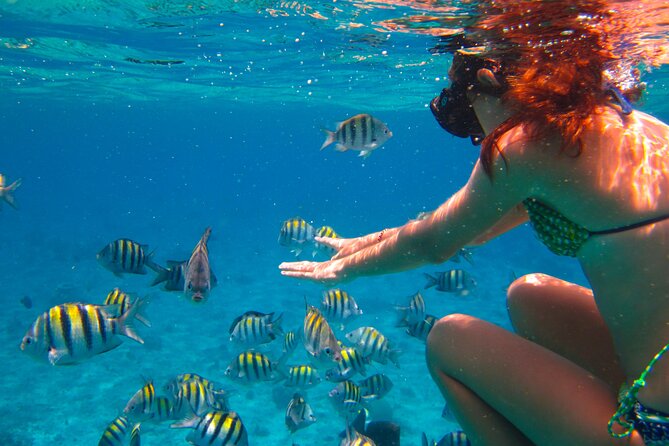 Cozumel El Cielo All Inclusive Tour from Cancun - Columbia Reef and the boat-glass moment