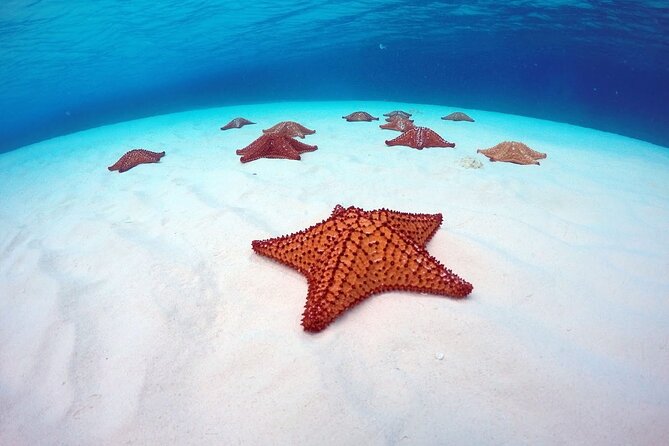 Cozumel El Cielo All Inclusive Tour from Cancun - Food and drinks: what’s truly included
