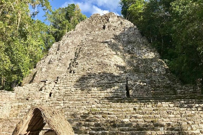 Day Trip to Tulum, Coba and Cenote Maya - Stop 4: Quinta Avenida time in Playa del Carmen