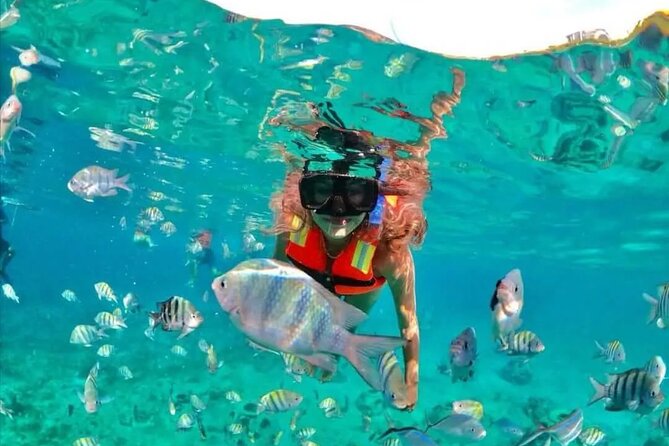 Deluxe Catamaran to Isla Mujeres with Open Bar from Cancun - Price and the real cost picture: $38.90 plus an on-site fee