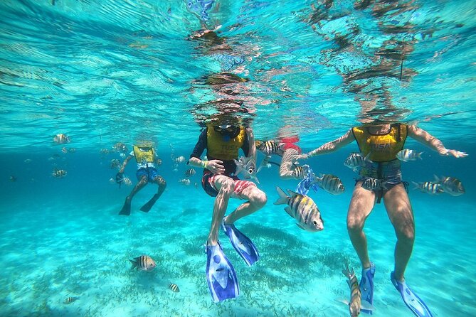 Deluxe Catamaran to Isla Mujeres with Open Bar from Cancun - Who this catamaran day suits best (and who should skip it)