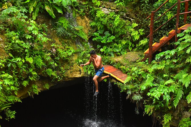 Discover 3 amazing cenotes. Includes transport & snack - Puerto Morelos Cenotes Route: why this tour works for a half-day escape