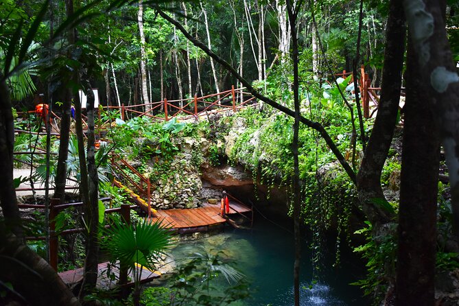 Discover 3 amazing cenotes. Includes transport & snack - First stop experience: welcome, registration, and the Mayan context