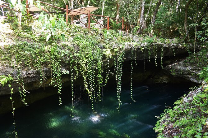 Discover 3 amazing cenotes. Includes transport & snack - Three cenotes in one route: what each swim time is really for