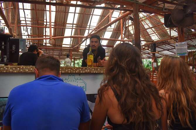 Discover 3 amazing cenotes. Includes transport & snack - What’s included vs. what costs extra (so you don’t get surprised)