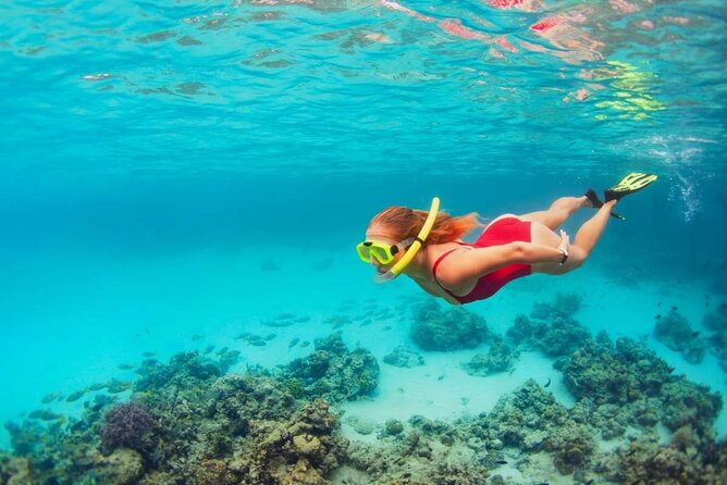Discover Isla Contoy & Isla Mujeres: Nature, Snorkel & Beaches - Isla Contoy on foot: bird sanctuary time, and how the island feels