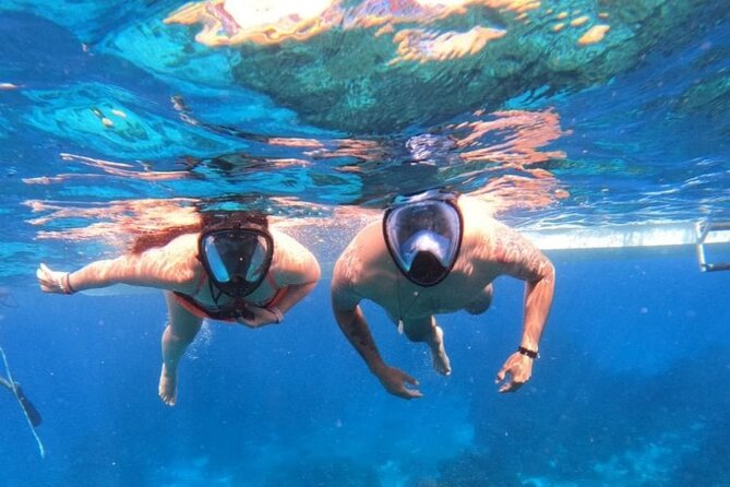 Discover Isla Contoy & Isla Mujeres: Nature, Snorkel & Beaches - Price and value: what $140 really buys, plus the $20 government fee