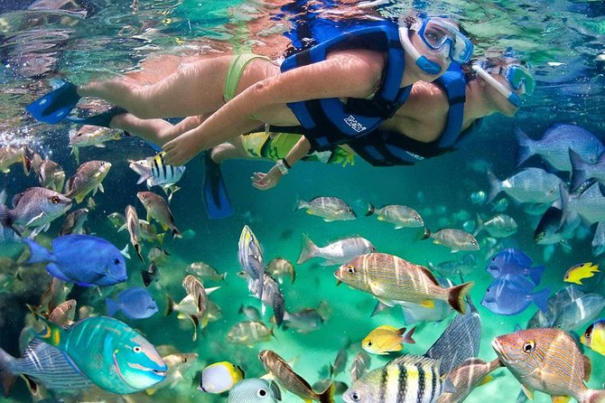 Discover Isla Mujeres tour with snorkel, buffet and open bar - Price and logistics: the real total cost you should budget