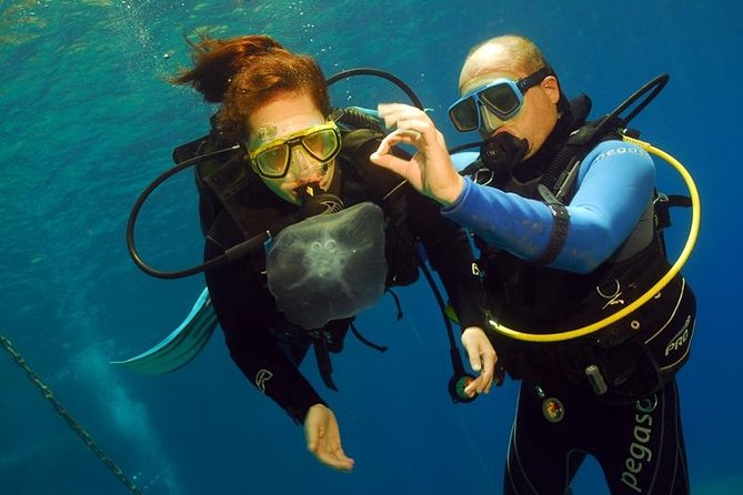 Discover Scuba - Key highlights you’ll actually care about