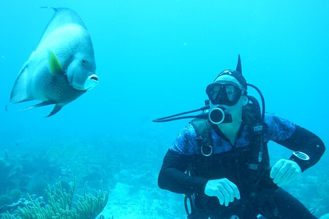Discover Scuba - Wet Set check-in, gear, and the wetsuit that saves your skin
