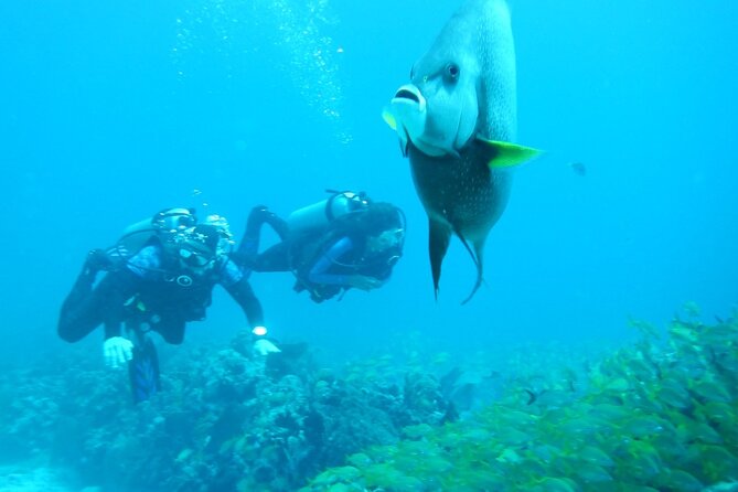 Discover Scuba - Price and value: $140 makes sense if you treat it as an experience trial