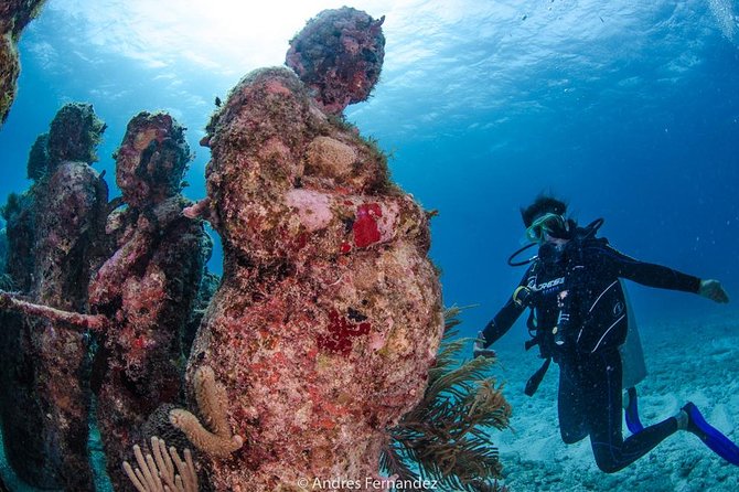 Discover scuba ,MUSA and Manchones reef dive without license - Manchones Reef: What You’ll Actually See at About 33 Feet
