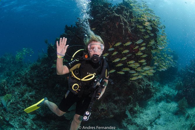Discover scuba ,MUSA and Manchones reef dive without license - Equipment and Small Extras That Matter More Than You Think
