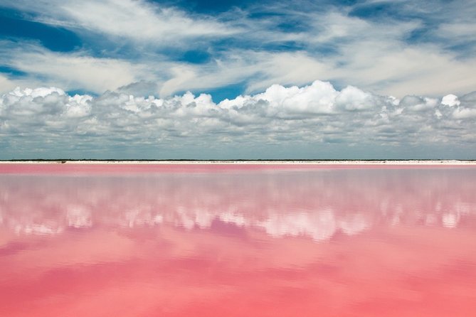 Discover the FABULOUS PINK WATERS in the Caribean - Entering Las Coloradas: The Salt Mines Behind the Pink Water