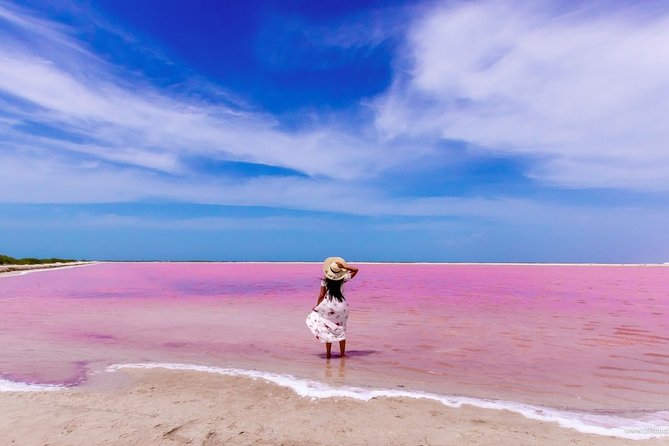 Discover the FABULOUS PINK WATERS in the Caribean - Rio Lagartos by Boat: Mangroves, Birds, and Crocodile Territory