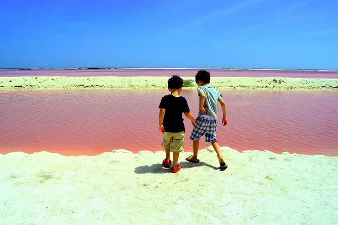 Discover the FABULOUS PINK WATERS in the Caribean - Lunch That Keeps You Going (and What to Watch)