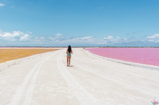 Discover the FABULOUS PINK WATERS in the Caribean - Crocodile Farm: Interactive Fun vs. Your Personal Comfort Level