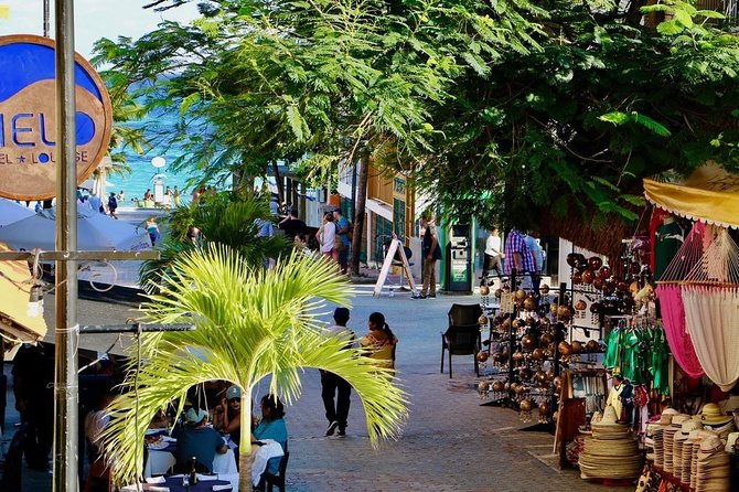 Discover Tulum, Visit Coba And Swim In A Real Mayan Cenote and Playa del carmen - Guides and small-group logistics: why names keep popping up