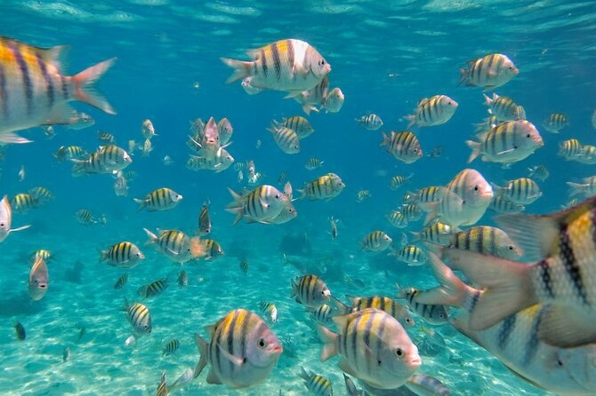 Discovering Isla Mujeres on a Double Decker Catamaran - A party-ready double-decker day trip (with real snorkeling)
